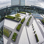 Gründach-Seminare 2015