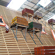 Phönix aus der Asche