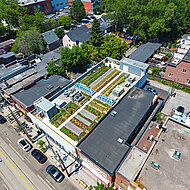 Urban Farming in Toronto: Hopfen und Zitronenthymian vom Dach ins Craft-Bier