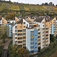 Caparol: Farbenpracht am Neckar