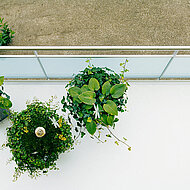 Balkonsch&auml;den professionell sanieren