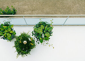 Balkonsch&auml;den professionell sanieren