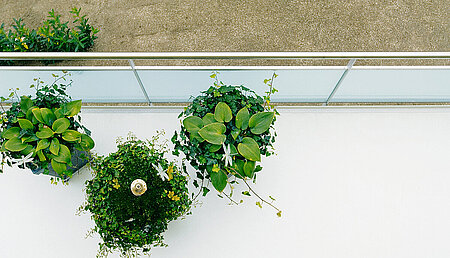 Balkonsch&auml;den professionell sanieren