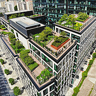 Grün bereichert das Stadtleben