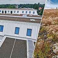 Ein Stück Natur auf dem Dach