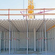 Meva: Praktische Eigenschaften, überzeugende Ergebnisse