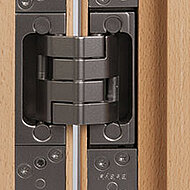 Auszeichnung für Türband in schraubenfreier Optik