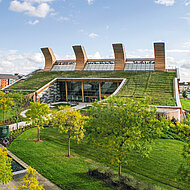 DUD e.V.: Grüne Branche wendet sich an Bundeskanzlerin