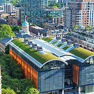 Dachbegrünung weltweit in allen Facetten