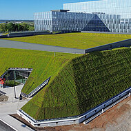 Der Wert der Dachbegrünung in der klimaangepassten Stadtplanung 