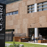 fischerwerke: Wein und Strom: Solarenergie bringt reiche Ernte