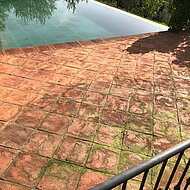 Fila – Grünbelag entfernen in zwei Schritten mit Langzeitwirkung