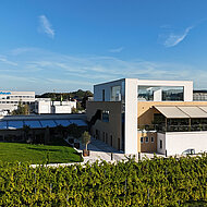 Wind- und Wetterschutz für Weinliebhaber