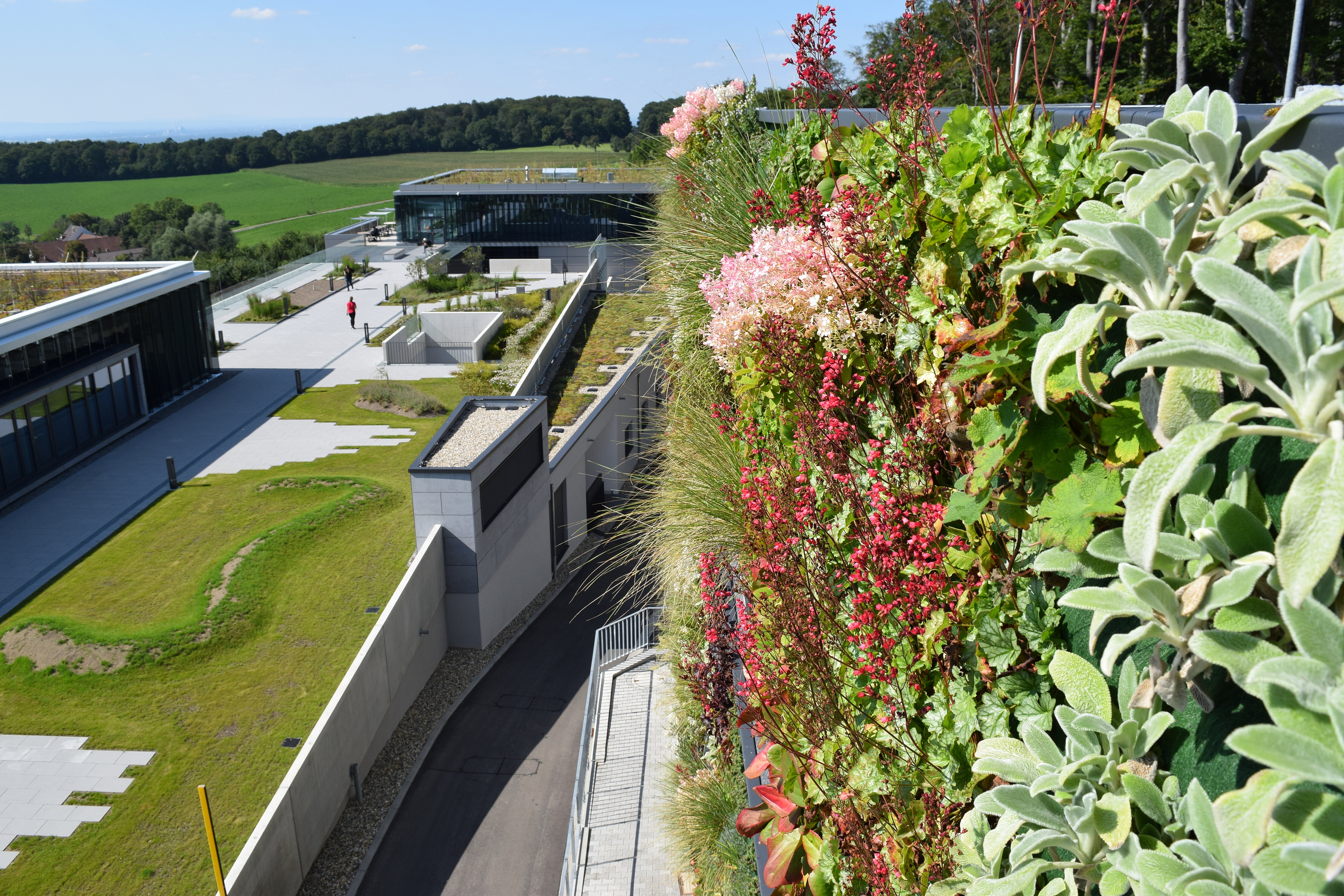 Online-Termine stehen: „BuGG-zertifizierte(r) Fachberater(in) Dach- bzw. Fassadenbegrünung“