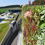 Online-Termine stehen: „BuGG-zertifizierte(r) Fachberater(in) Dach- bzw. Fassadenbegrünung“