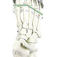 Optimalen Fußschutz mit Komfort verbinden