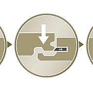 Allgäuer Allrounder steht auf Böden aus dem Münsterland