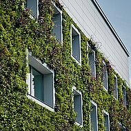 Die grüne Zukunft des Wohnbaus