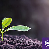 KESSEL ist ab sofort klimaneutral