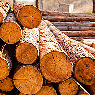 Zentralverband des Deutschen Baugewerbes: Rohstoffknappheit bringt Baustellen bereits zum Erliegen