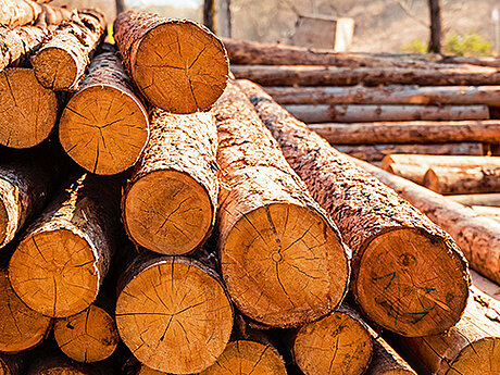 Zentralverband des Deutschen Baugewerbes: Rohstoffknappheit bringt Baustellen bereits zum Erliegen