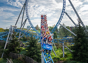 Wachstum, Robotik und internationale Projekte