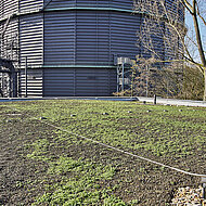 Das begrünte Retentionsdach als Wasserspeicher