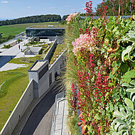 BuGG: Grundlagenseminare zur Dach- und Fassadenbegrünung