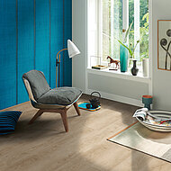 HARO: DISANO Familie weiter ausgebaut 