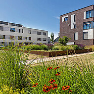 Flachdach Contest 2023 angelaufen