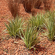 LEIPFINGER-BADER: Ziegelsplitt im Garten- und Landschaftsbau wiederverwenden 