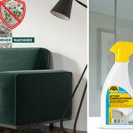 Effektive Schimmelentfernung mit System