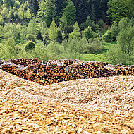 Egger: Die Ressource Holz im Fokus
