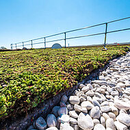 Zambelli: Wohnhäuser Augsburg mit Gründach