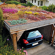 Gründachsubstrate für eine nachhaltige Zukunft