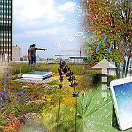 ZinCo Gründach-Seminare 2022