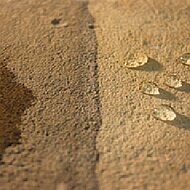 Fila: Schutz und Pflege im Aussenbereich