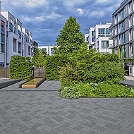 Rinn: Pflastersystem in natürlicher Optik macht das Verlegen leicht