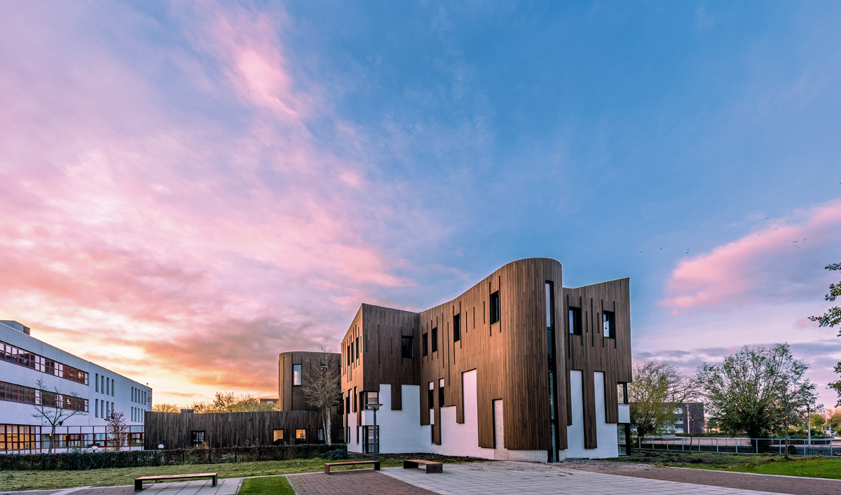 Moso: Reiche Ernte für die Bambus- Experten aus den Niederlanden