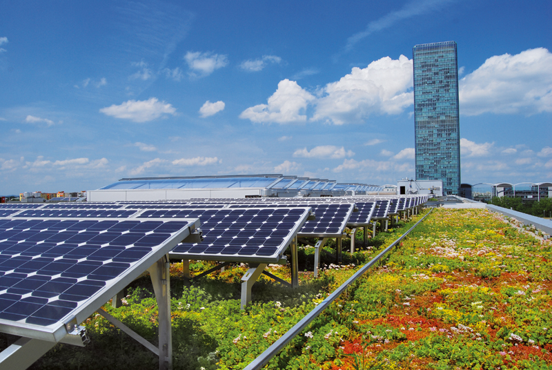 ZinCo: Dachbegrünung und Solarpower Hand in Hand 