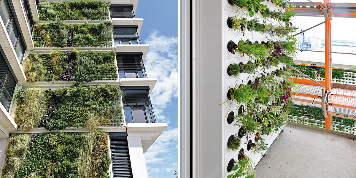 Eine grüne Fassade aus 50 000 Pflanzballen