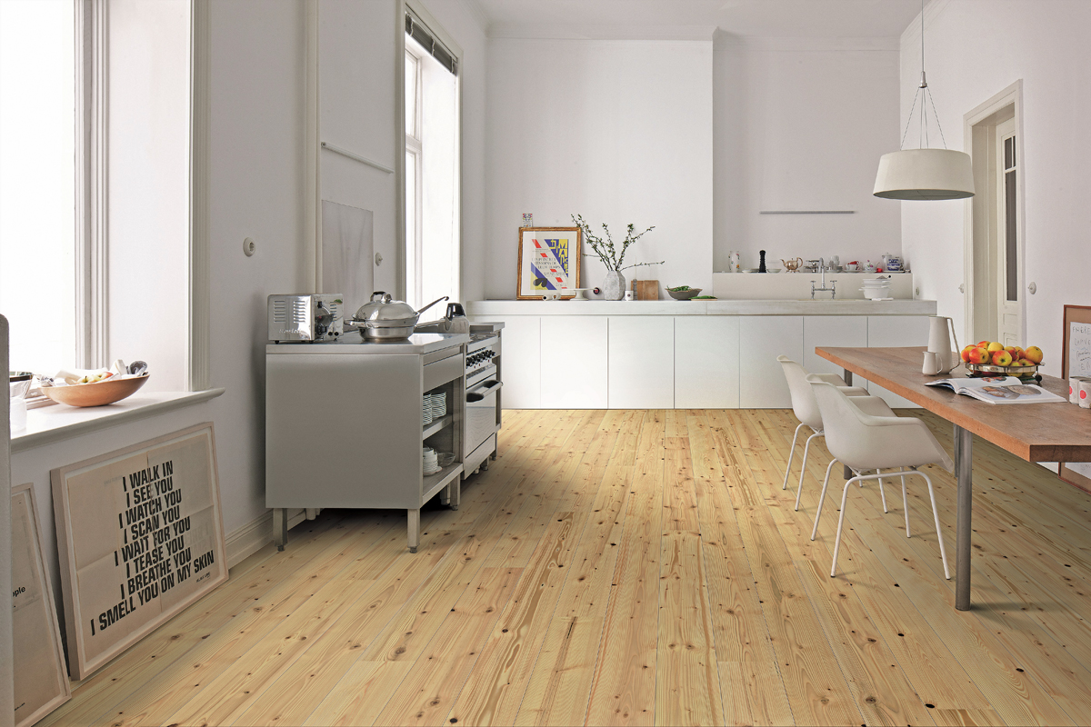 Tanne und Esche gesellen sich zur Eiche 