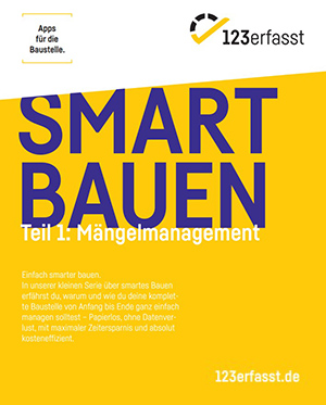 WO GEHOBELT WIRD, FALLEN SPÄNE. MÄNGEL AM BAU EFFIZIENT MANAGEN