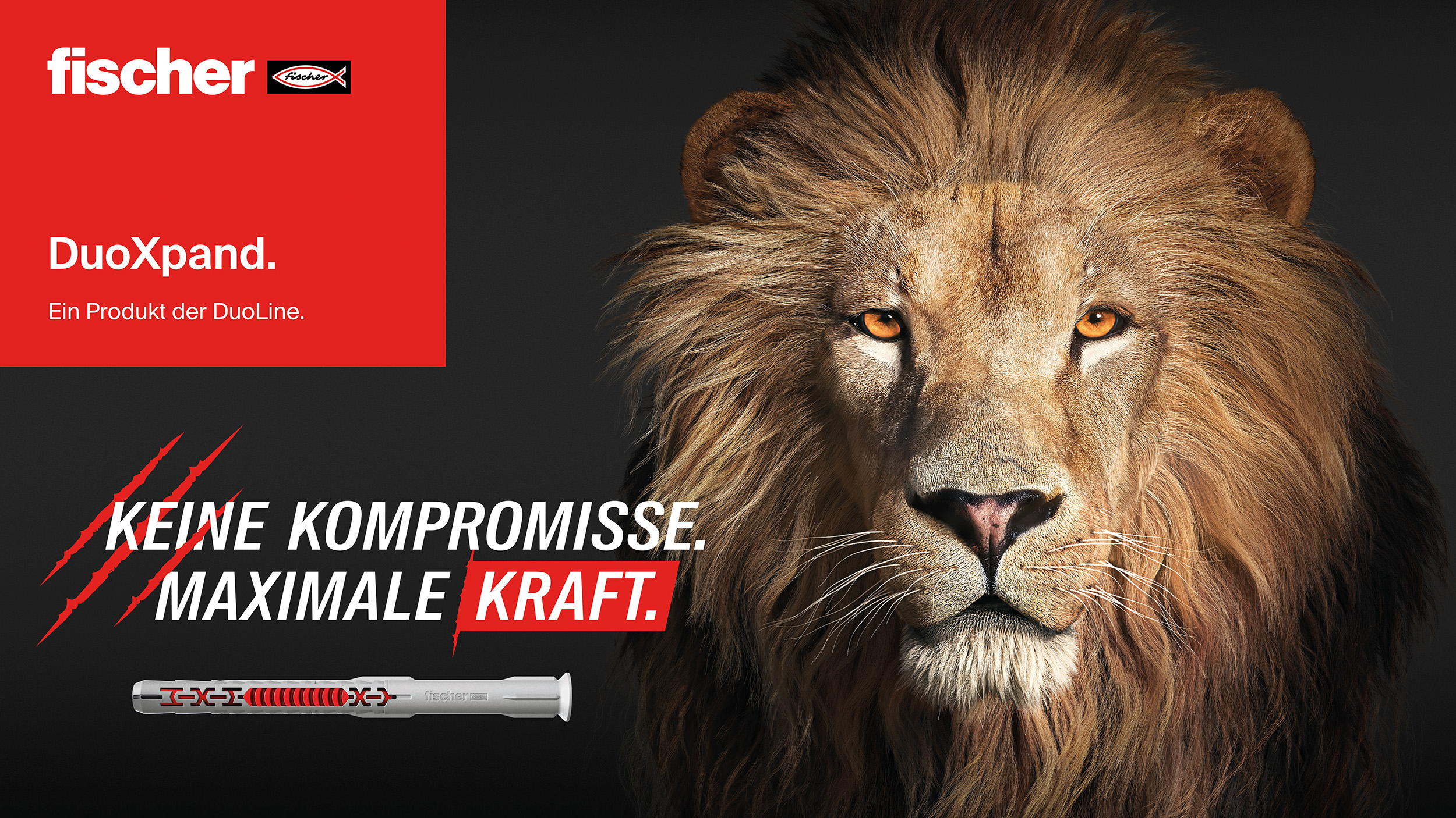 FISCHERWERKE: Die Könige unter den Kunststoffdübeln